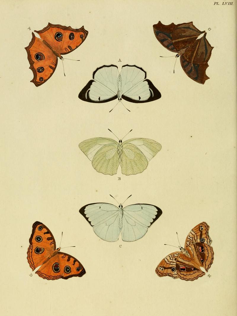 Cramer&Stoll-uitlandsche kapellen vol. 1- plate 058