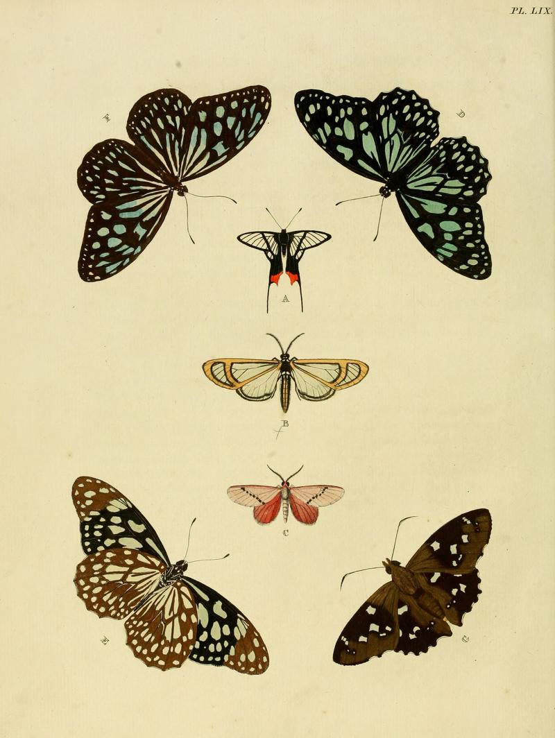 Cramer&Stoll-uitlandsche kapellen vol. 1- plate 059