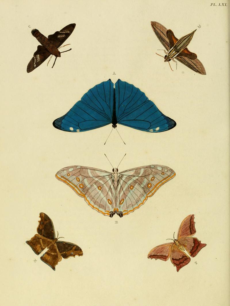 Cramer&Stoll-uitlandsche kapellen vol. 1- plate 061