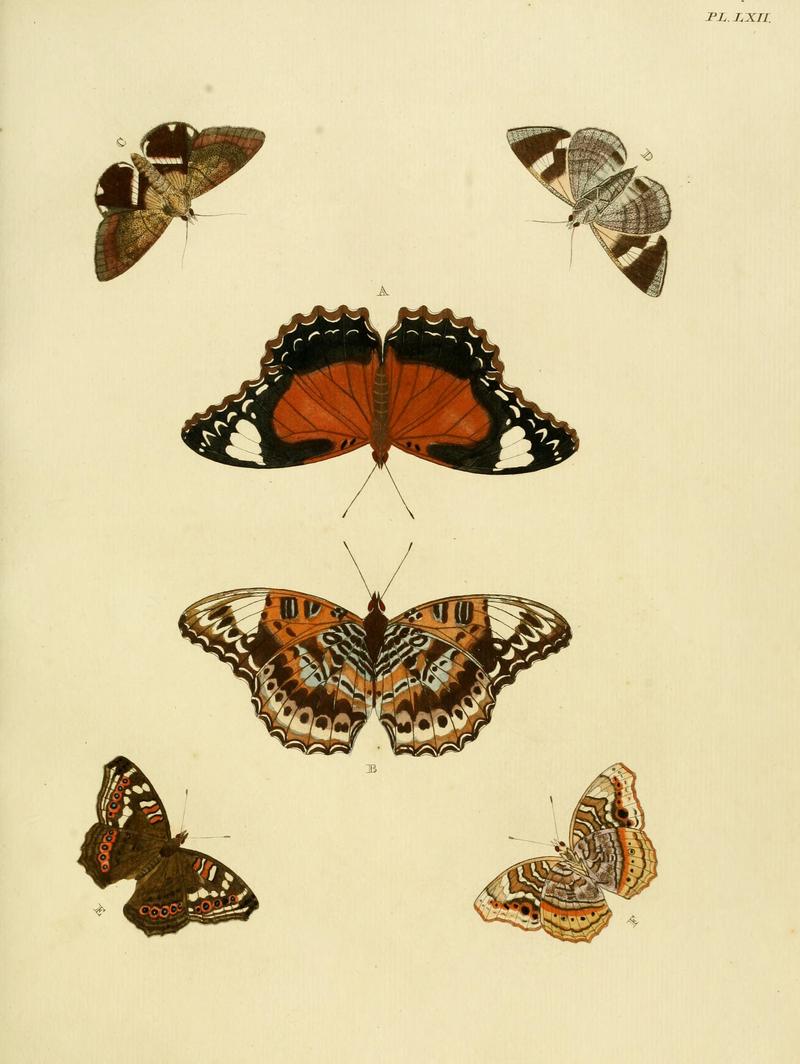 Cramer&Stoll-uitlandsche kapellen vol. 1- plate 062