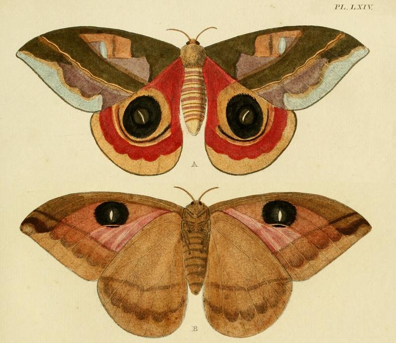 Cramer&Stoll-uitlandsche kapellen vol. 1- plate 064 cropped