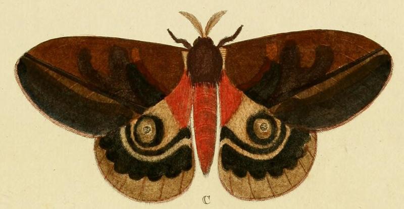 Cramer&Stoll-uitlandsche kapellen vol. 1- plate 064 cropped A egeus