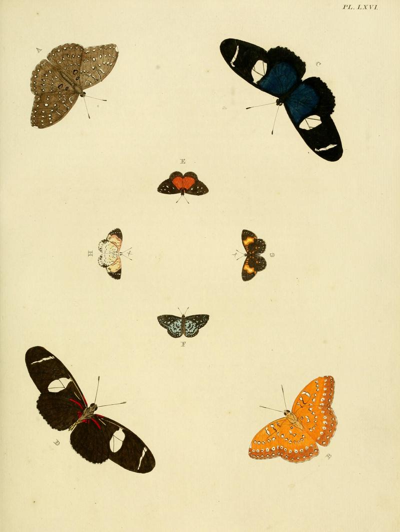 Cramer&Stoll-uitlandsche kapellen vol. 1- plate 066