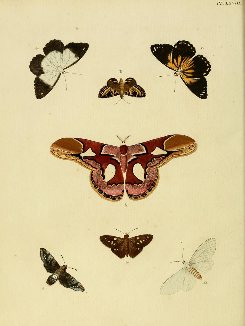 Cramer&Stoll-uitlandsche kapellen vol. 1- plate 068