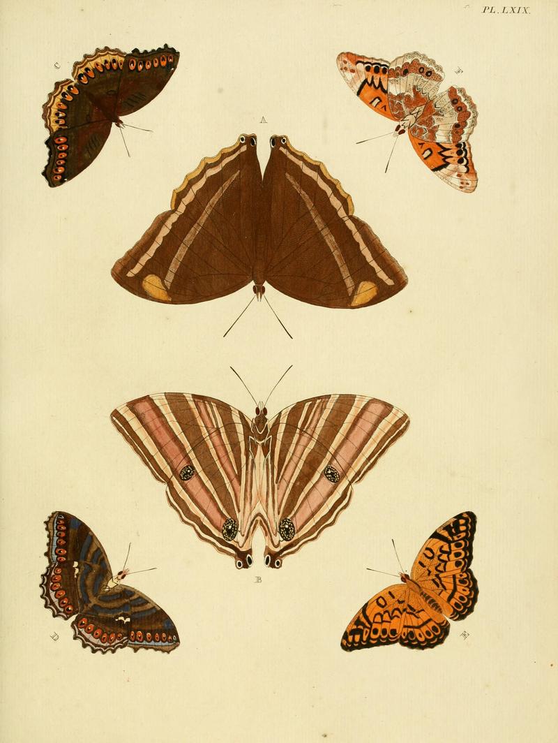 Cramer&Stoll-uitlandsche kapellen vol. 1- plate 069