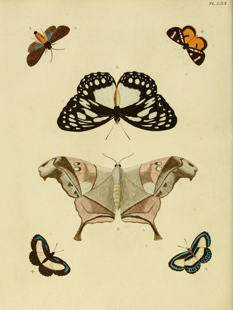 Cramer&Stoll-uitlandsche kapellen vol. 1- plate 070
