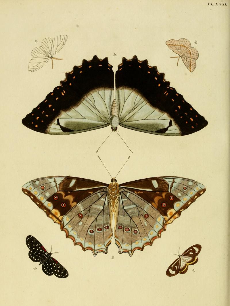 Cramer&Stoll-uitlandsche kapellen vol. 1- plate 071