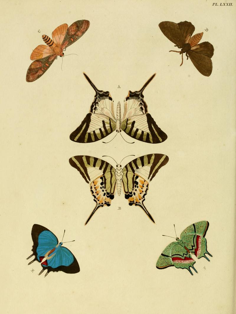 Cramer&Stoll-uitlandsche kapellen vol. 1- plate 072