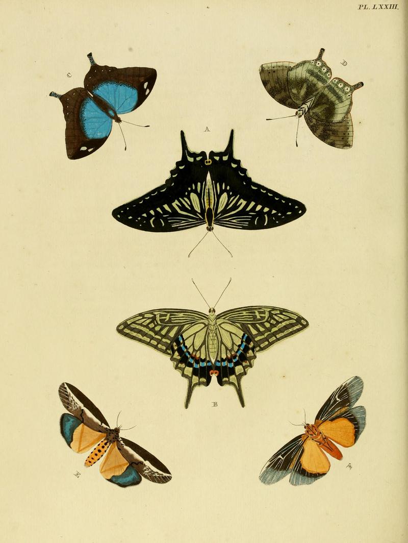 Cramer&Stoll-uitlandsche kapellen vol. 1- plate 073