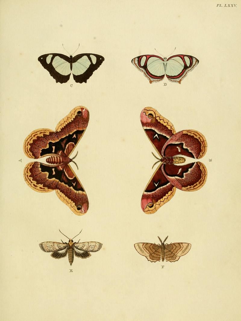 Cramer&Stoll-uitlandsche kapellen vol. 1- plate 075