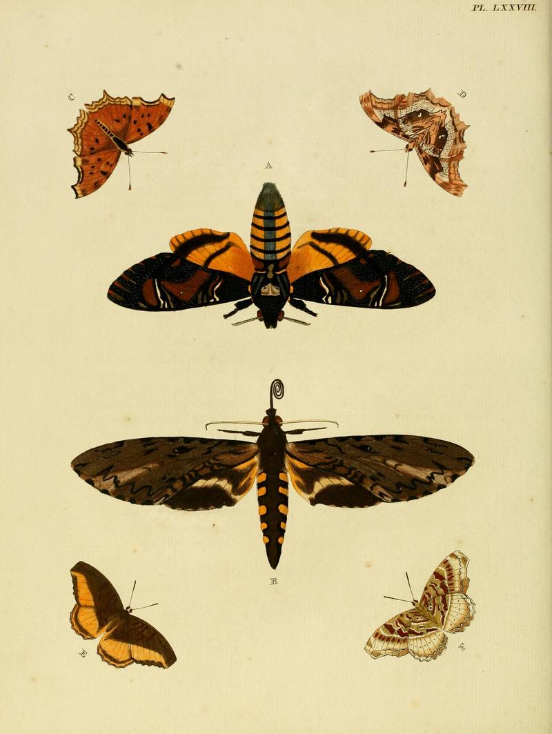Cramer&Stoll-uitlandsche kapellen vol. 1- plate 078