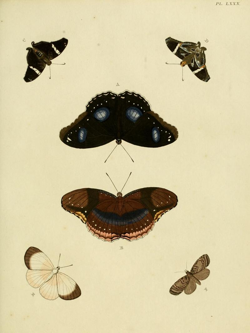 Cramer&Stoll-uitlandsche kapellen vol. 1- plate 080
