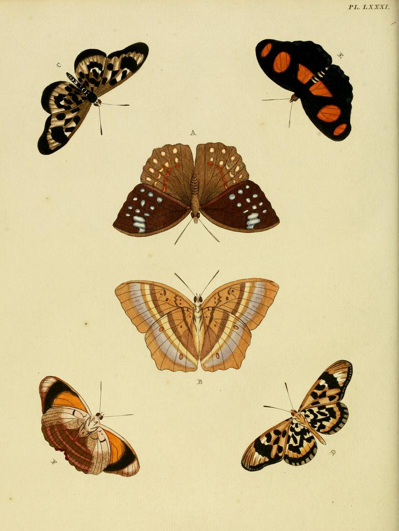 Cramer&Stoll-uitlandsche kapellen vol. 1- plate 081