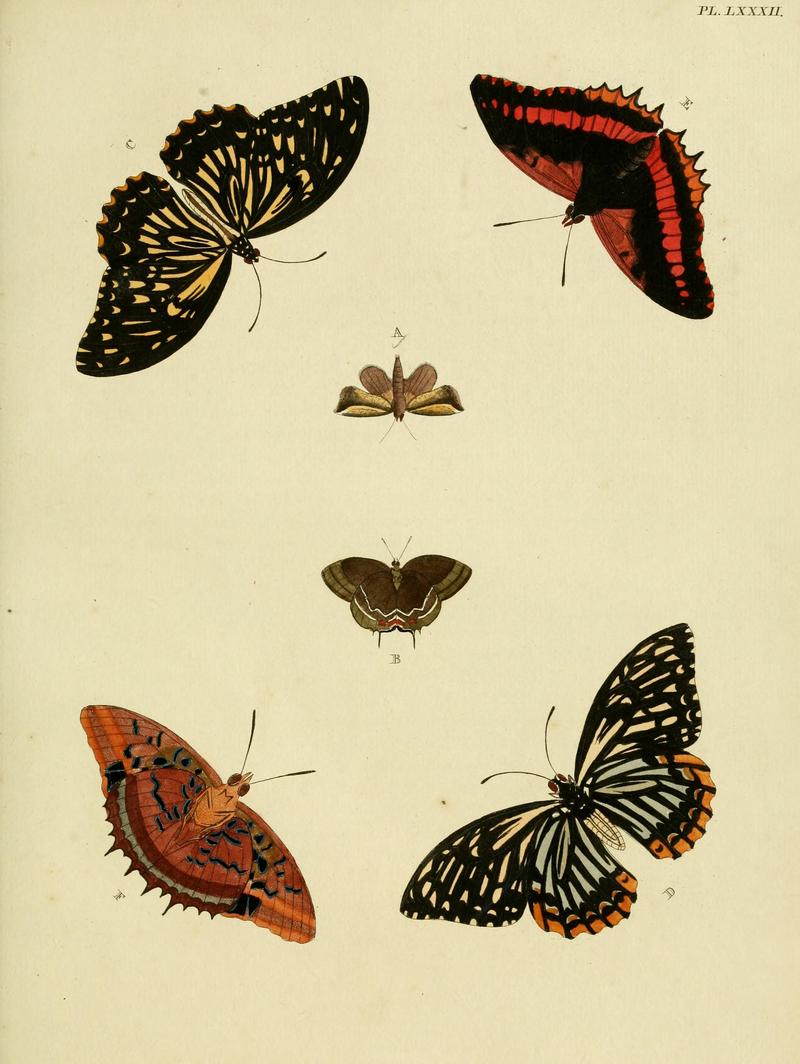Cramer&Stoll-uitlandsche kapellen vol. 1- plate 082