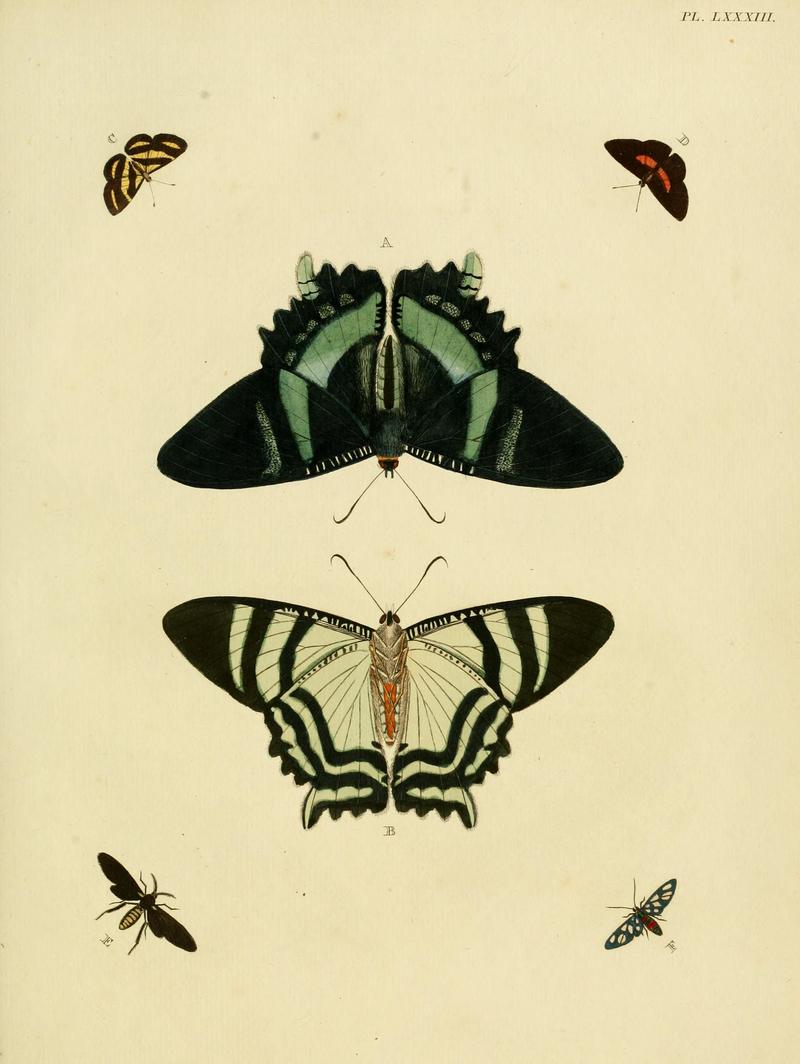 Cramer&Stoll-uitlandsche kapellen vol. 1- plate 083