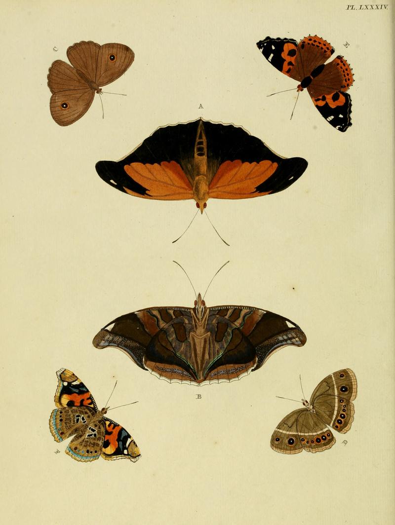 Cramer&Stoll-uitlandsche kapellen vol. 1- plate 084