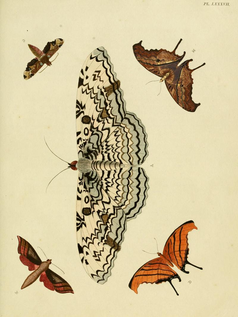 Cramer&Stoll-uitlandsche kapellen vol. 1- plate 087