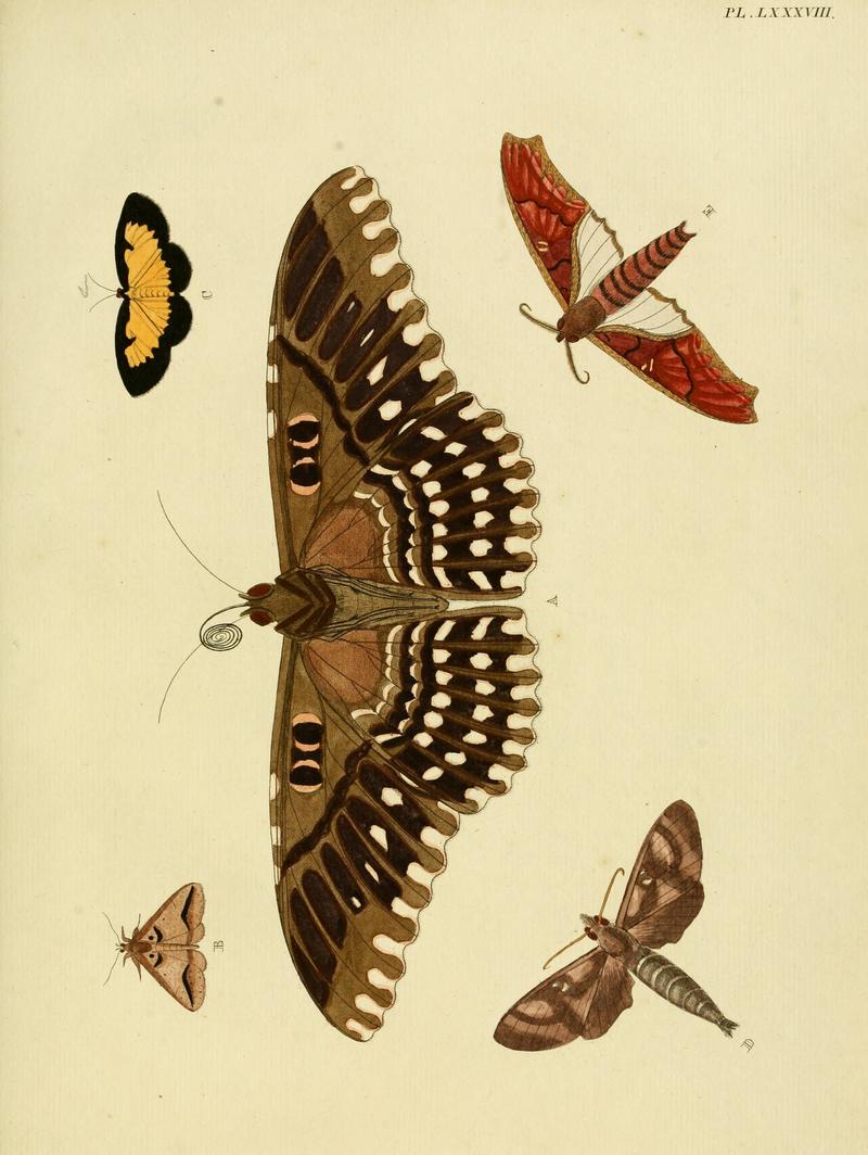 Cramer&Stoll-uitlandsche kapellen vol. 1- plate 088