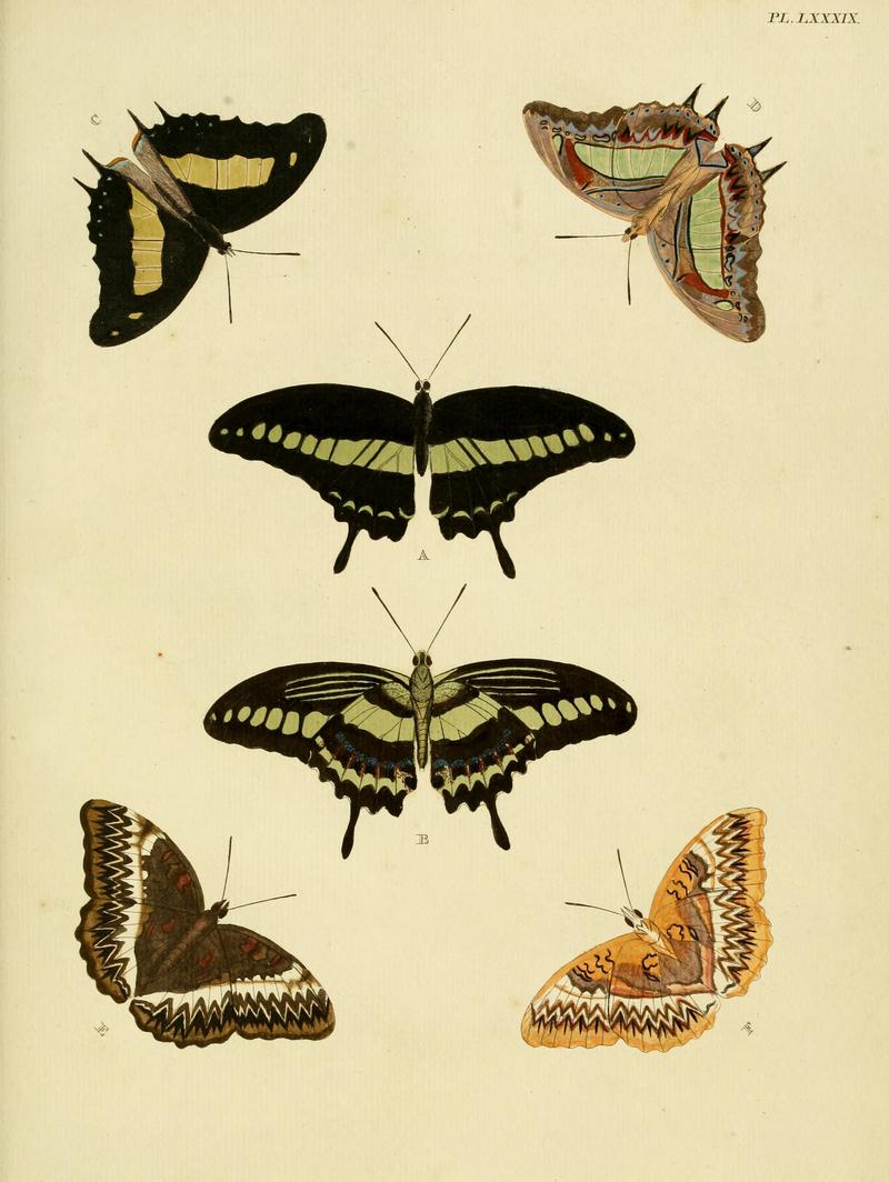 Cramer&Stoll-uitlandsche kapellen vol. 1- plate 089