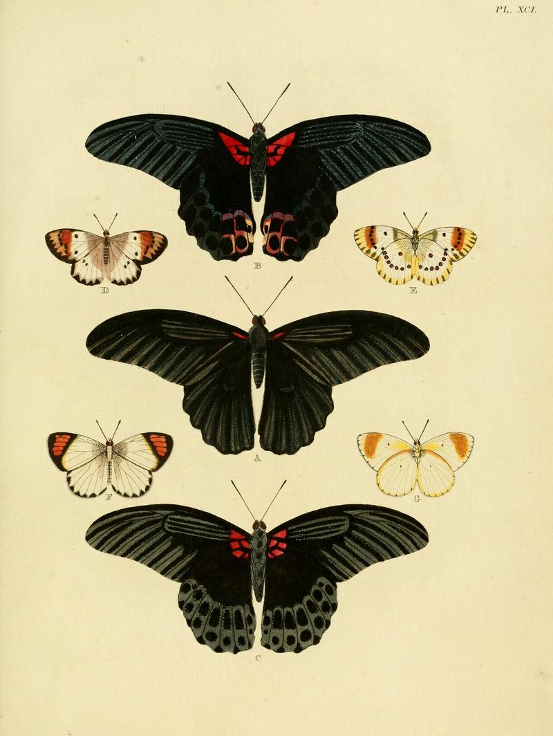 Cramer&Stoll-uitlandsche kapellen vol. 1- plate 091