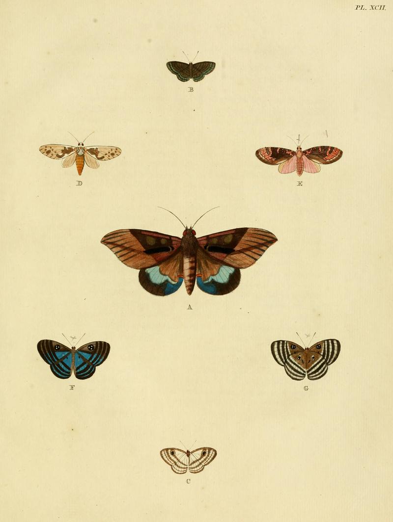Cramer&Stoll-uitlandsche kapellen vol. 1- plate 092