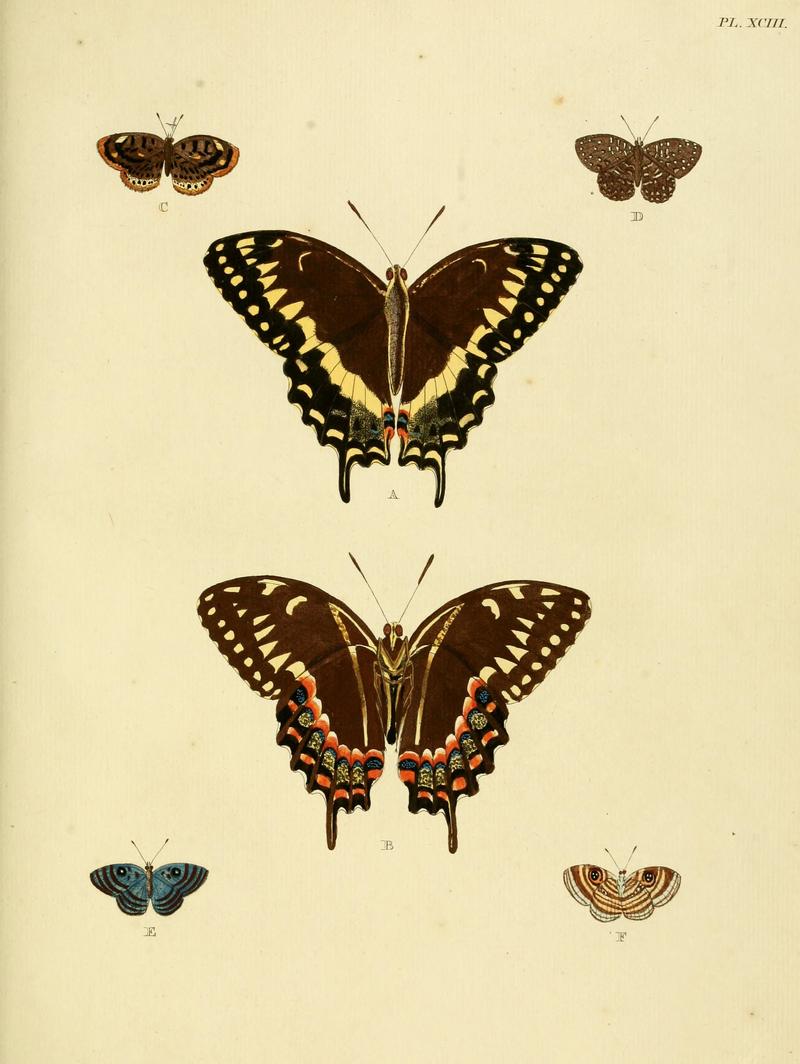 Cramer&Stoll-uitlandsche kapellen vol. 1- plate 093