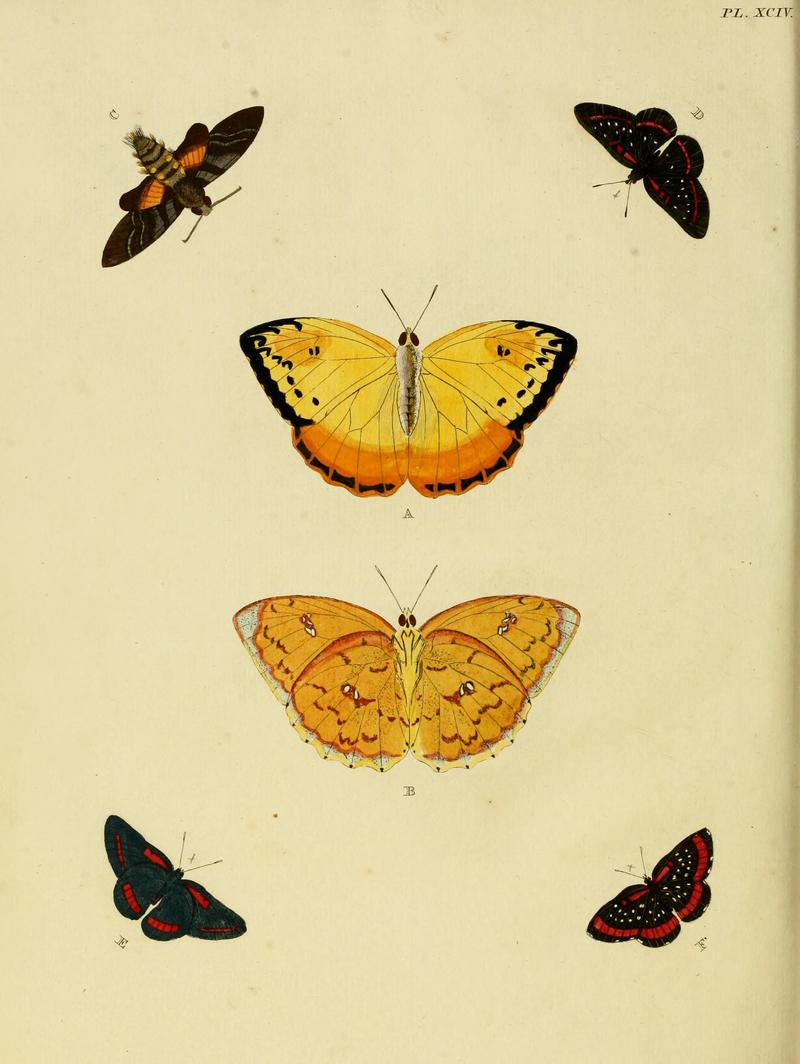 Cramer&Stoll-uitlandsche kapellen vol. 1- plate 094