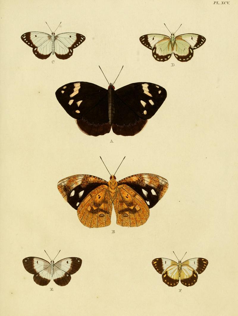 Cramer&Stoll-uitlandsche kapellen vol. 1- plate 095