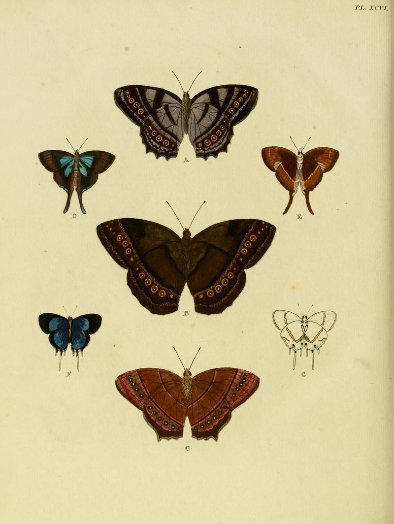 Cramer&Stoll-uitlandsche kapellen vol. 1- plate 096