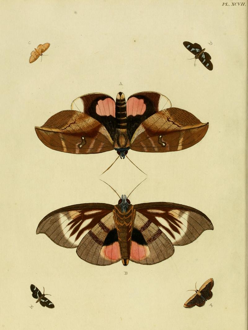 Cramer&Stoll-uitlandsche kapellen vol. 2- plate 097