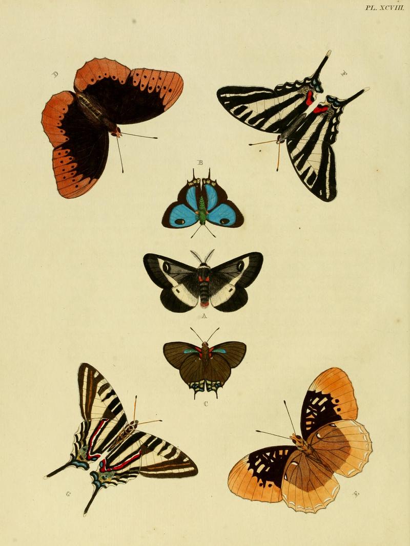 Cramer&Stoll-uitlandsche kapellen vol. 2- plate 098