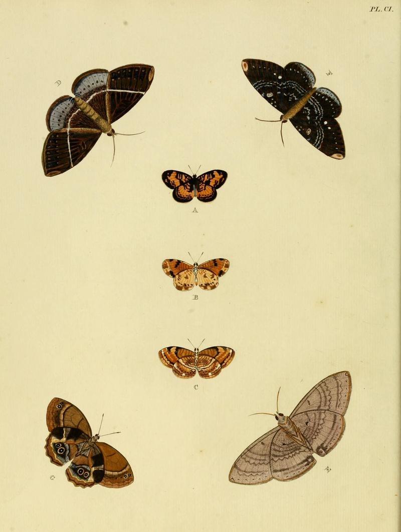 Cramer&Stoll-uitlandsche kapellen vol. 2- plate 101