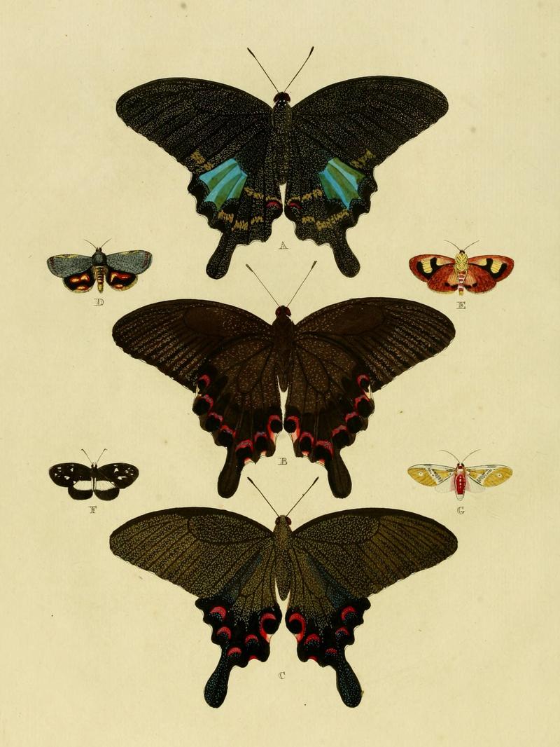 Cramer&Stoll-uitlandsche kapellen vol. 2- plate 103 (cropped)