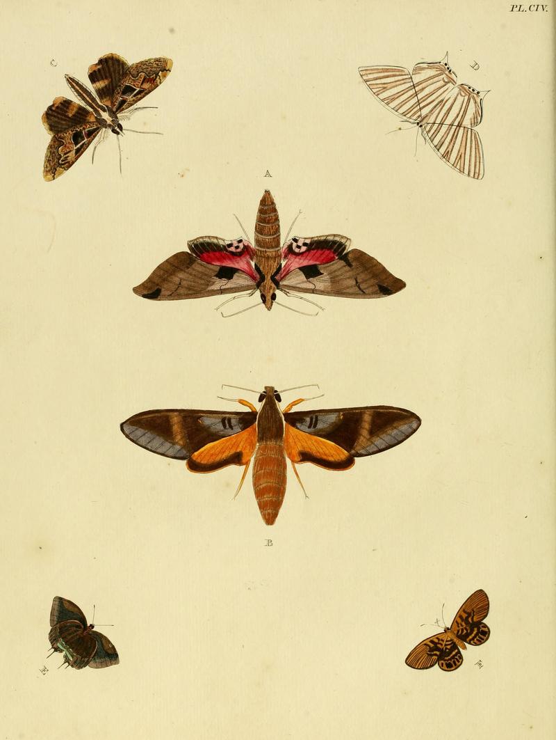 Cramer&Stoll-uitlandsche kapellen vol. 2- plate 104