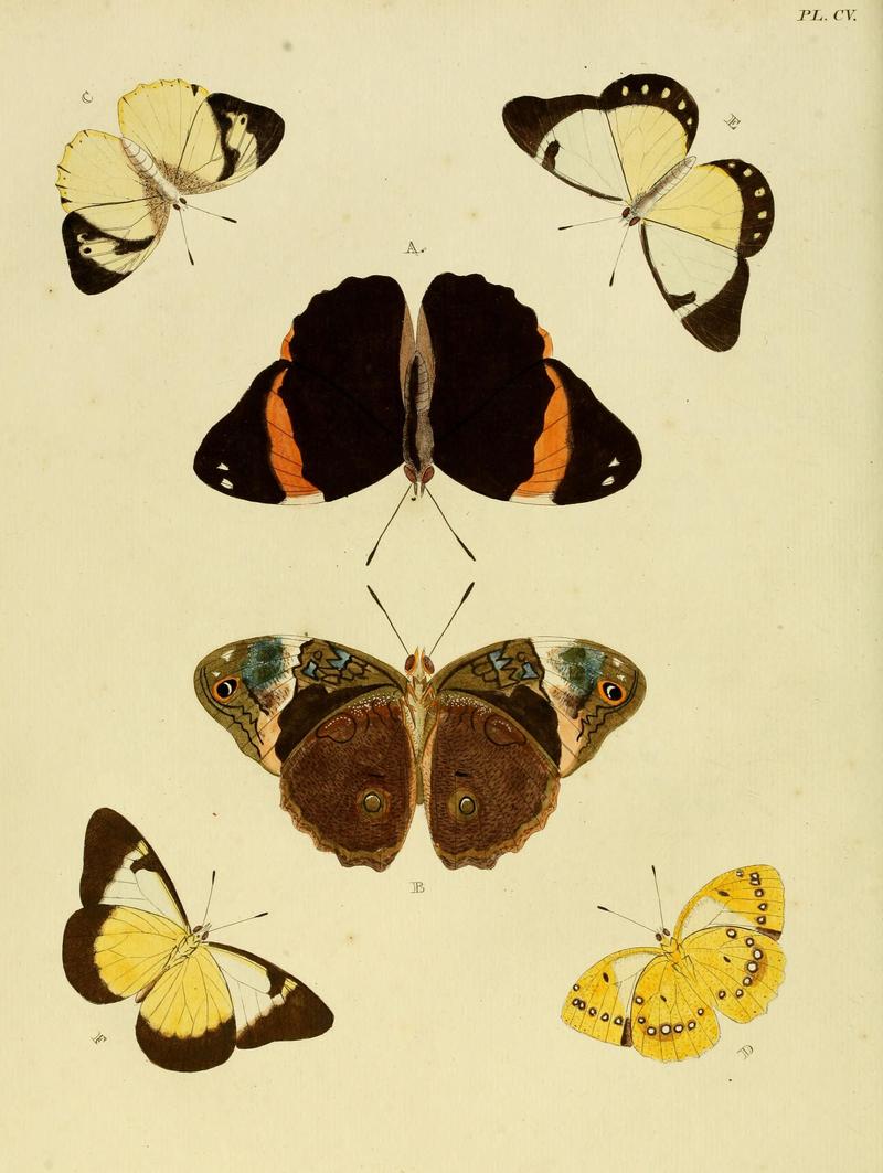 Cramer&Stoll-uitlandsche kapellen vol. 2- plate 105