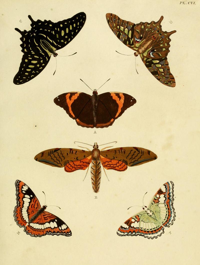 Cramer&Stoll-uitlandsche kapellen vol. 2- plate 106