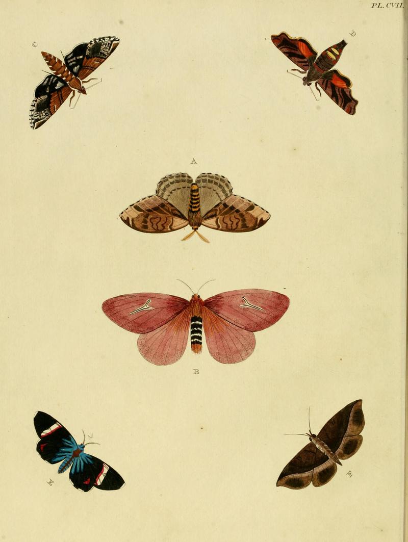 Cramer&Stoll-uitlandsche kapellen vol. 2- plate 107