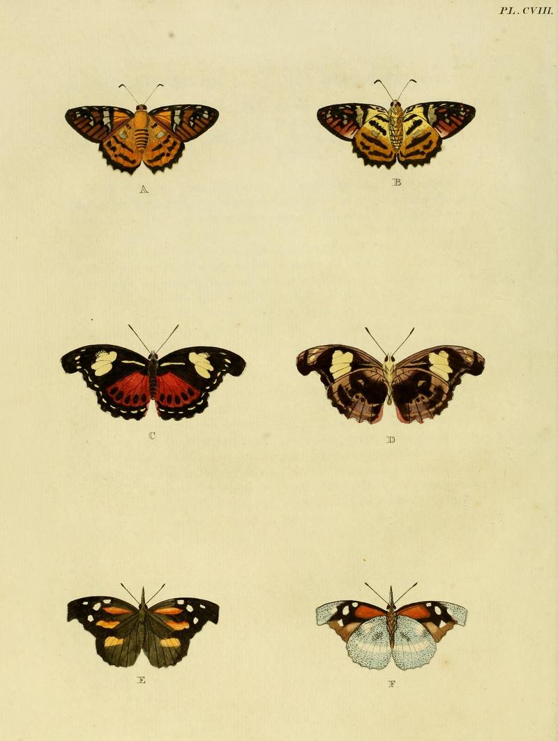 Cramer&Stoll-uitlandsche kapellen vol. 2- plate 108