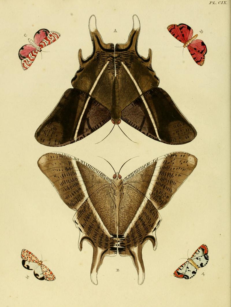 Cramer&Stoll-uitlandsche kapellen vol. 2- plate 109