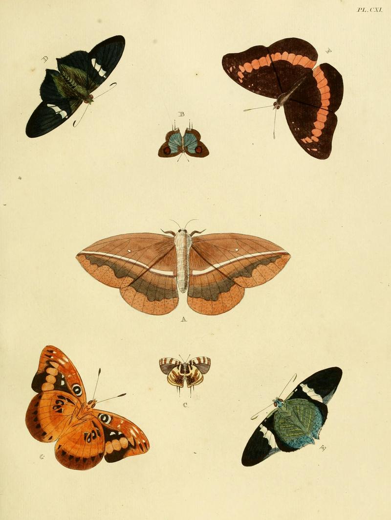 Cramer&Stoll-uitlandsche kapellen vol. 2- plate 111