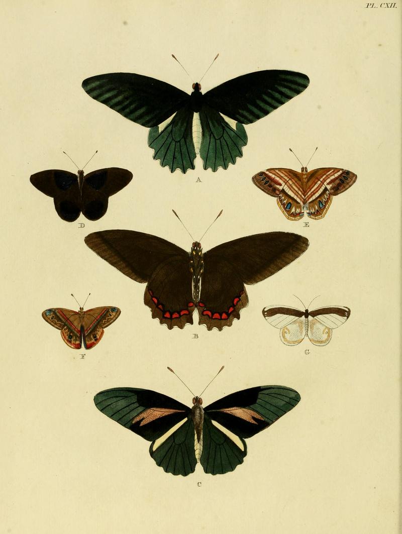 Cramer&Stoll-uitlandsche kapellen vol. 2- plate 112