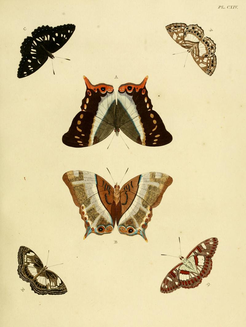 Cramer&Stoll-uitlandsche kapellen vol. 2- plate 114