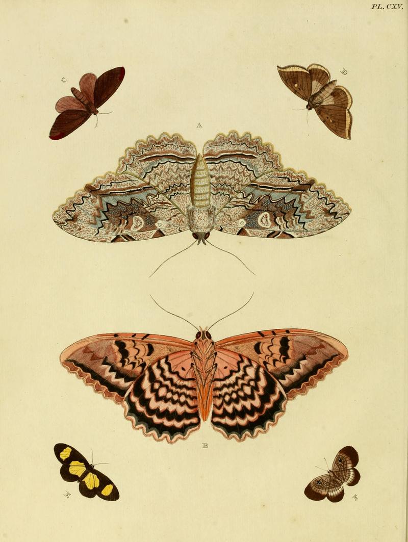 Cramer&Stoll-uitlandsche kapellen vol. 2- plate 115