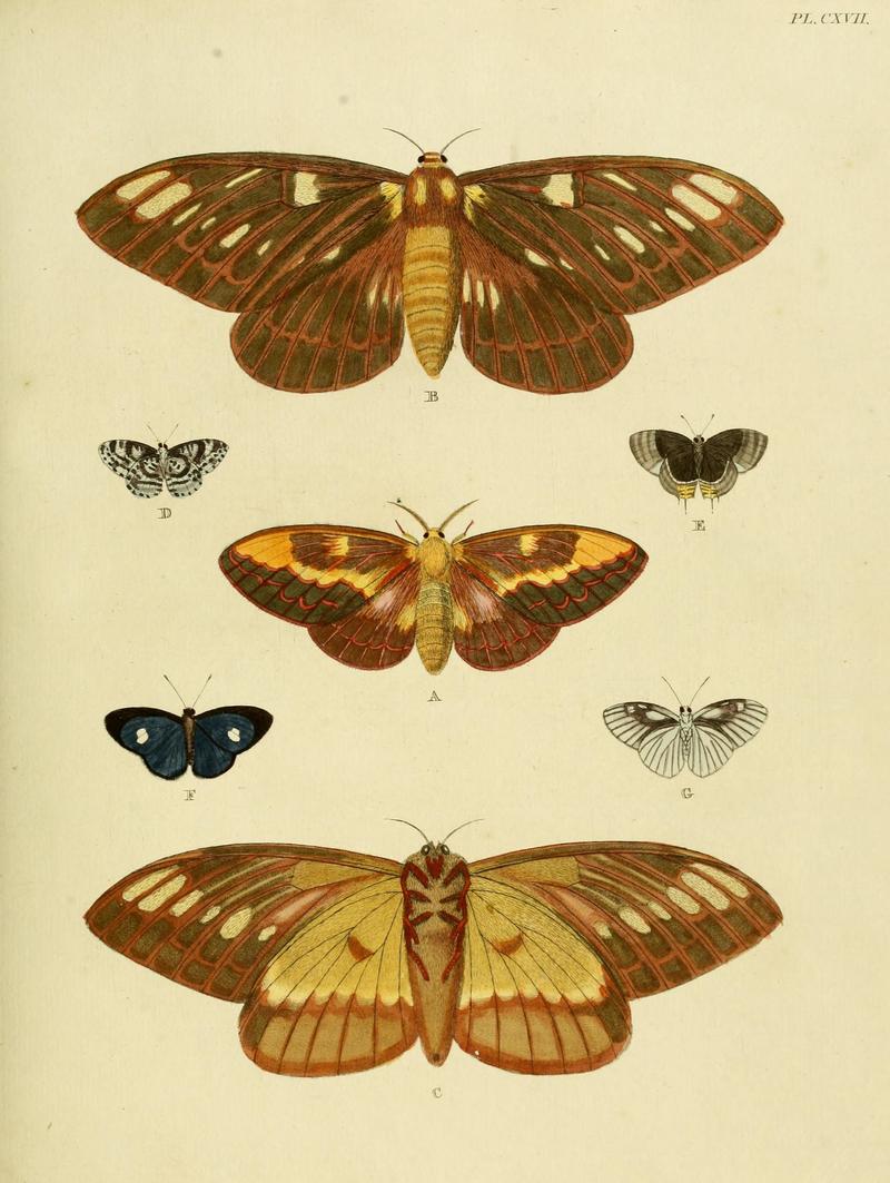 Cramer&Stoll-uitlandsche kapellen vol. 2- plate 117