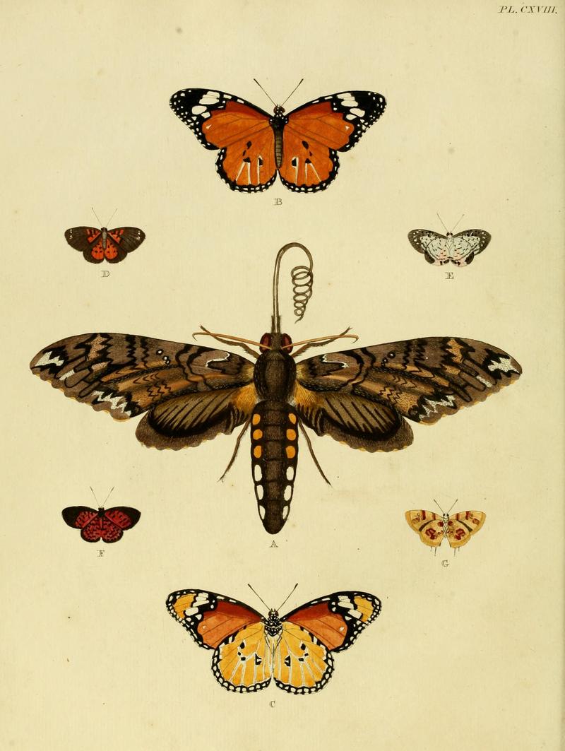 Cramer&Stoll-uitlandsche kapellen vol. 2- plate 118