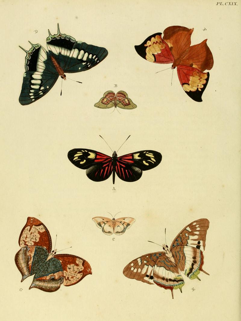 Cramer&Stoll-uitlandsche kapellen vol. 2- plate 119