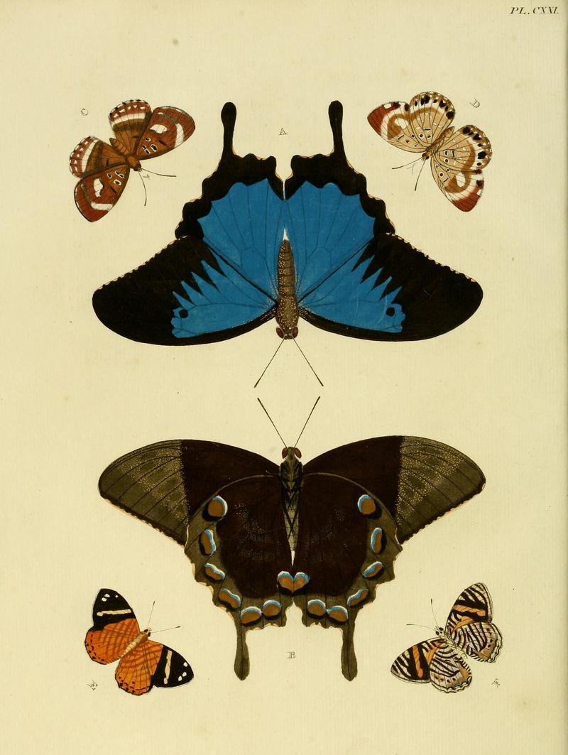 Cramer&Stoll-uitlandsche kapellen vol. 2- plate 121