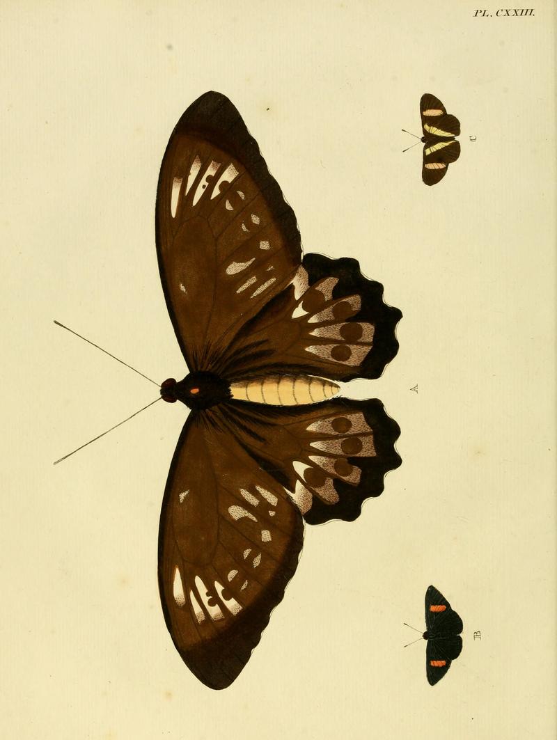 Cramer&Stoll-uitlandsche kapellen vol. 2- plate 123