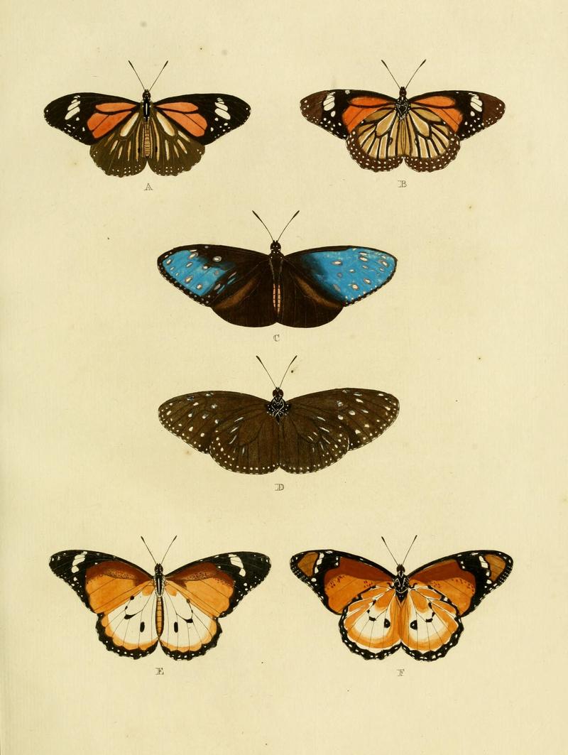 Cramer&Stoll-uitlandsche kapellen vol. 2- plate 127