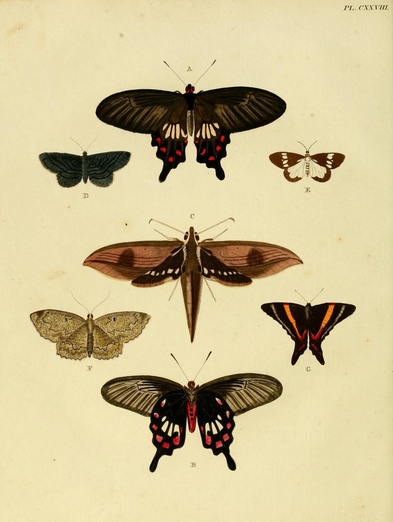 Cramer&Stoll-uitlandsche kapellen vol. 2- plate 128